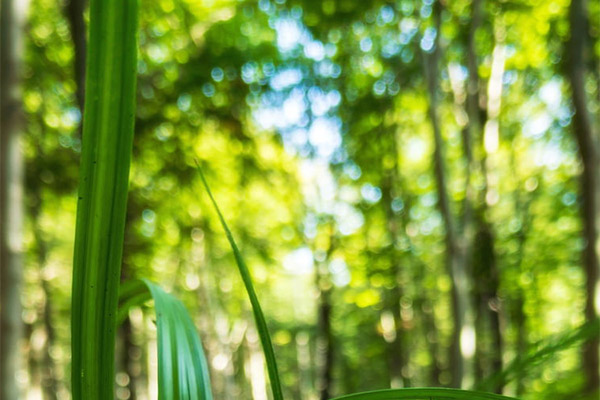 能耗監(jiān)測(cè)系統(tǒng)的系統(tǒng)開(kāi)發(fā)需求之系統(tǒng)性能需求！