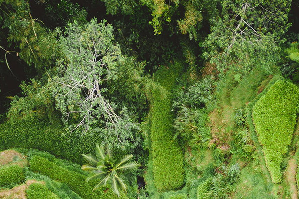 極端熱浪持續(xù)沖擊全球能源系統(tǒng)，中央空調(diào)系統(tǒng)顯身手！