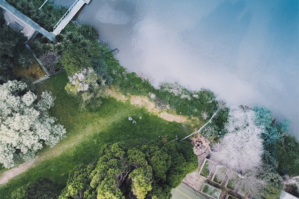 碳達峰、碳中和